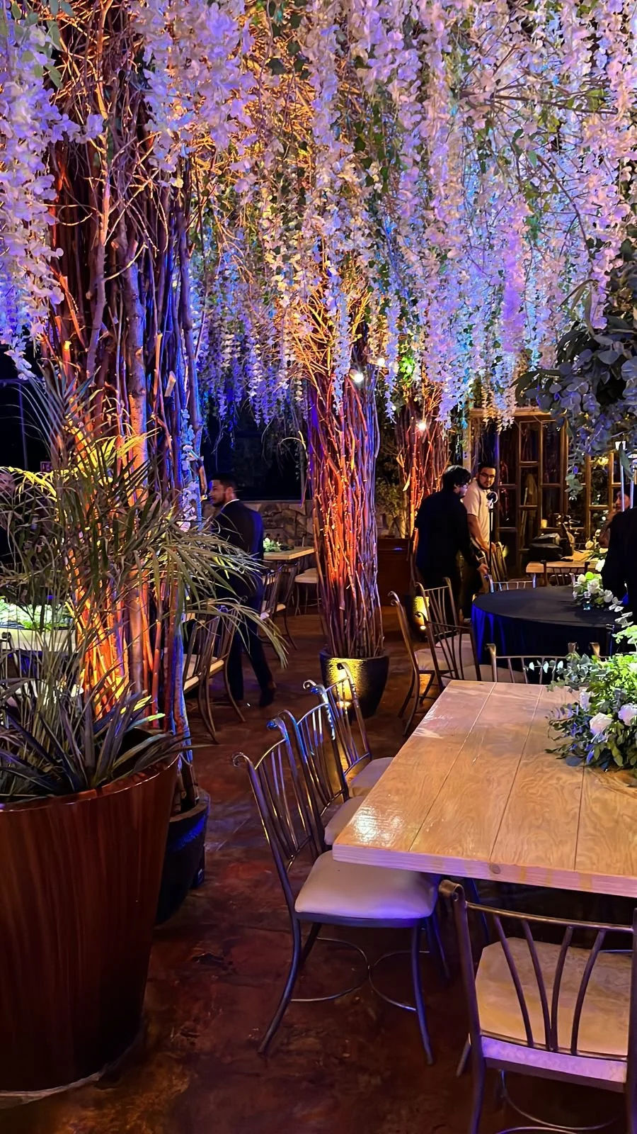 16d08330-d3a5-4714-85f0-c3e7ec4960a5 2.JPG