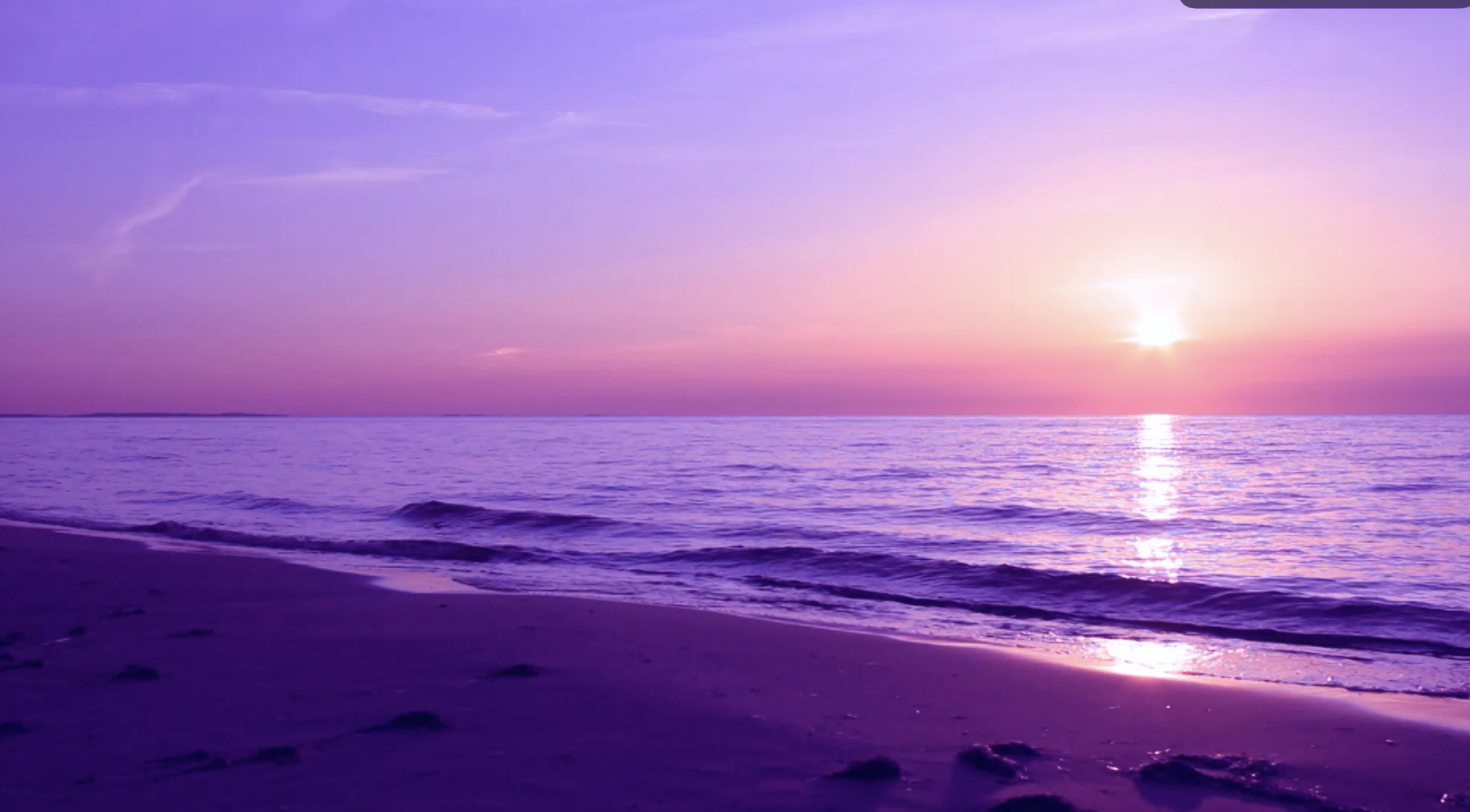 Screenshot 2026-04-10 at 5.42.36 PM.png