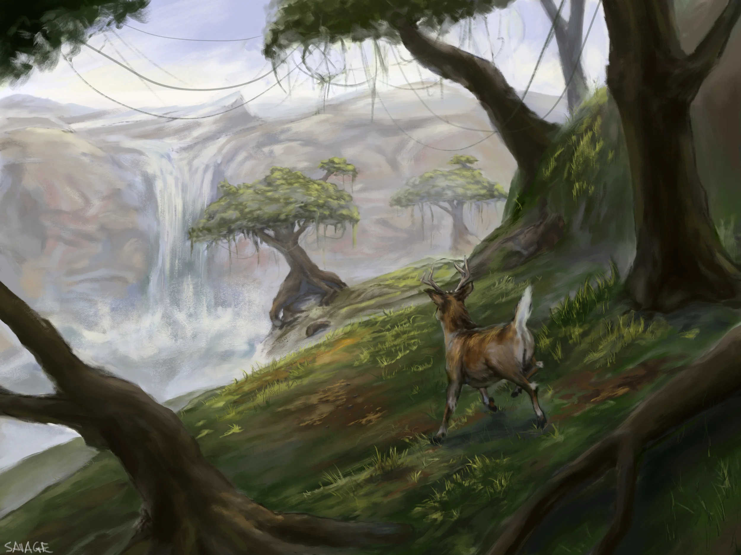 tree-waterfalll.jpg