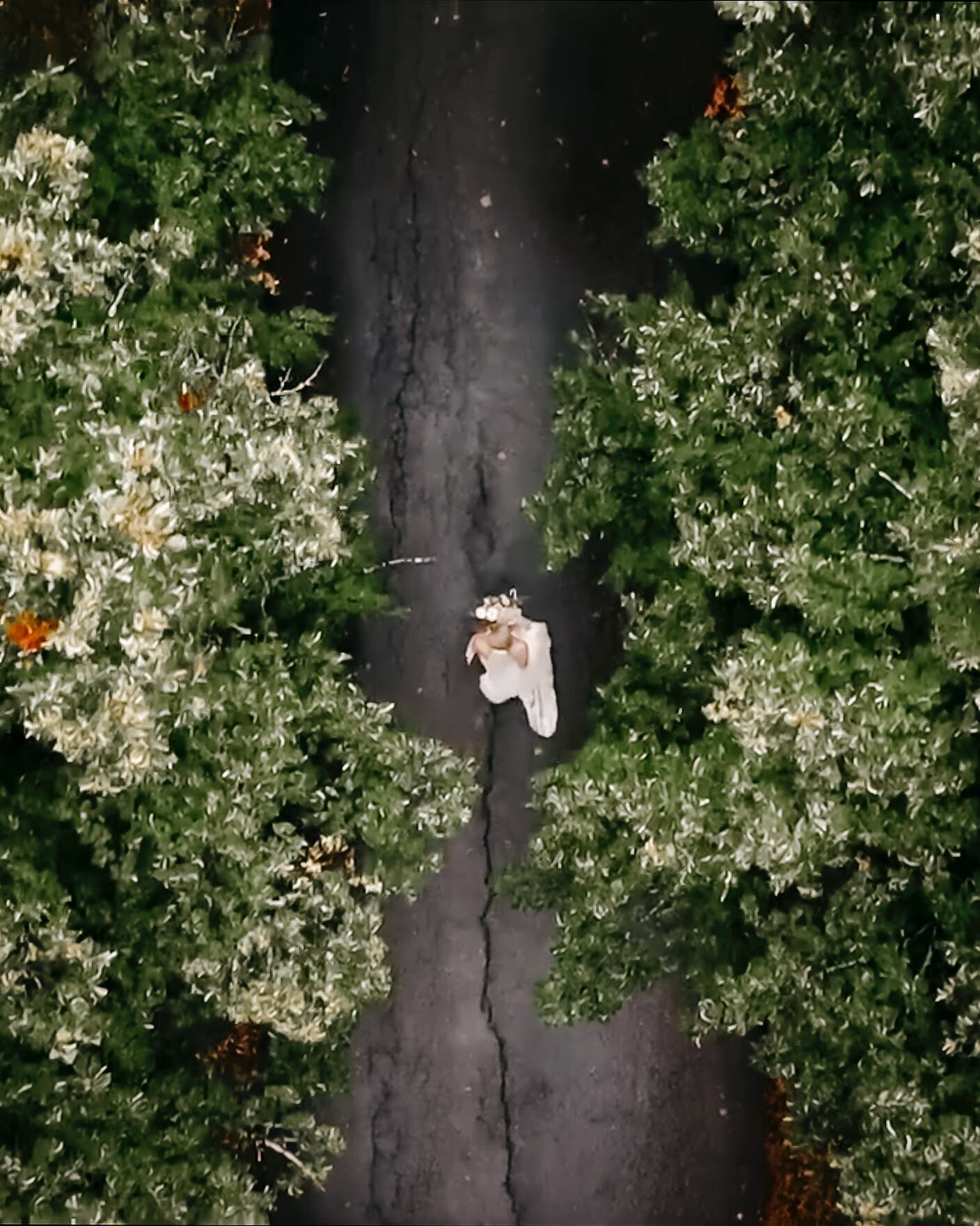 Drones are usually used to get those establishing scene shots. But sometimes u get something magical.😍
.
#weddingfilm #wedding #weddinginspiration #weddingphotography #weddingvideographer #elopementwedding #destinationwedding #br&ouml;llop #br&ouml;