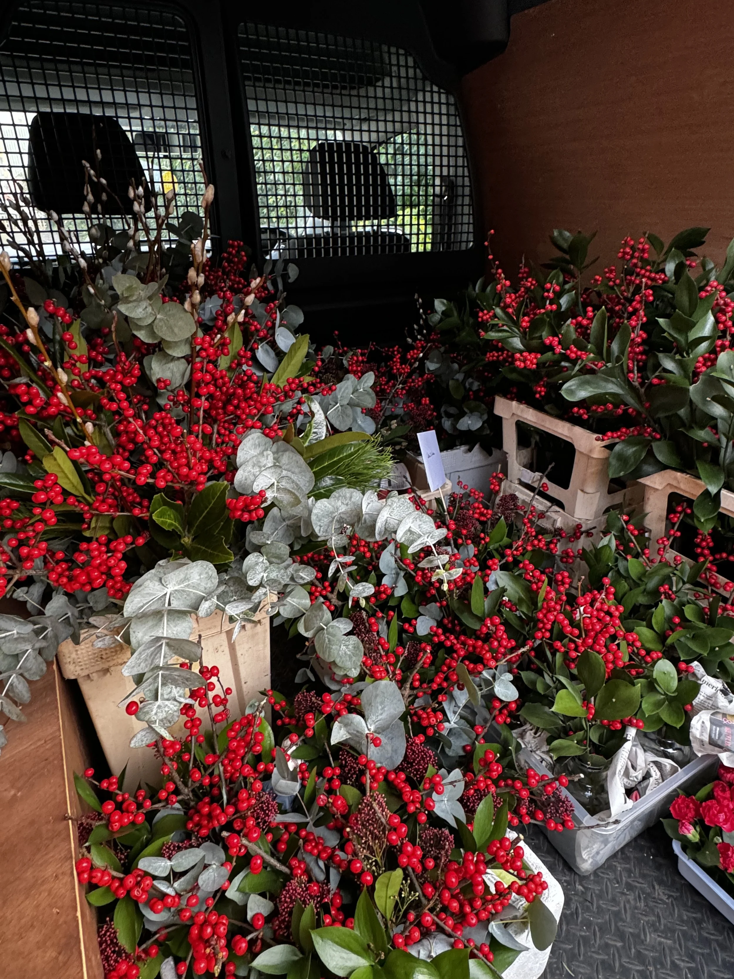 2023-12-23 09.07.01.jpg