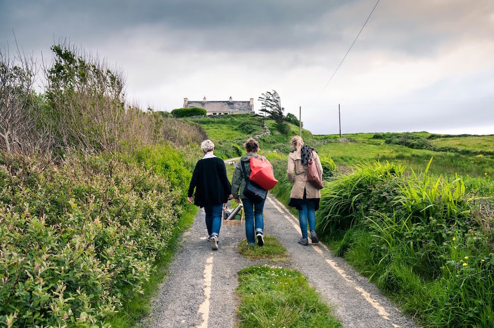 Taking a seaweed walk with Oonagh O'Dwyer of Wild Kitchen
