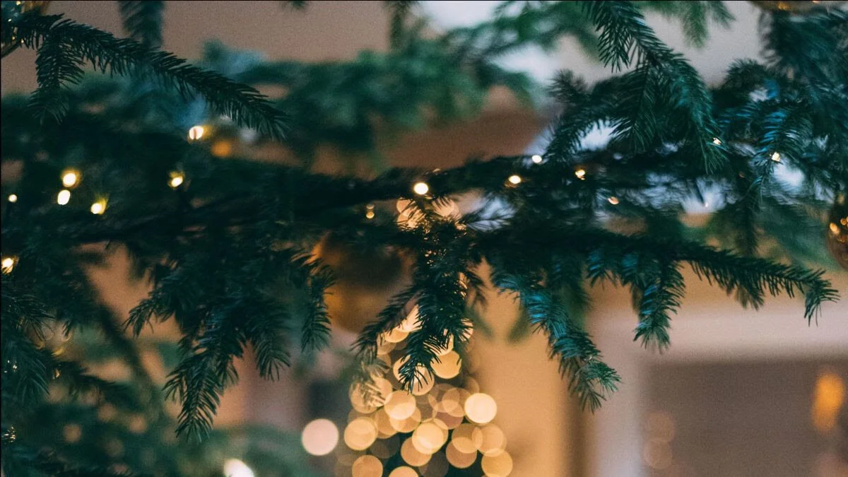 Briefing No. 16 - Christmas Edition