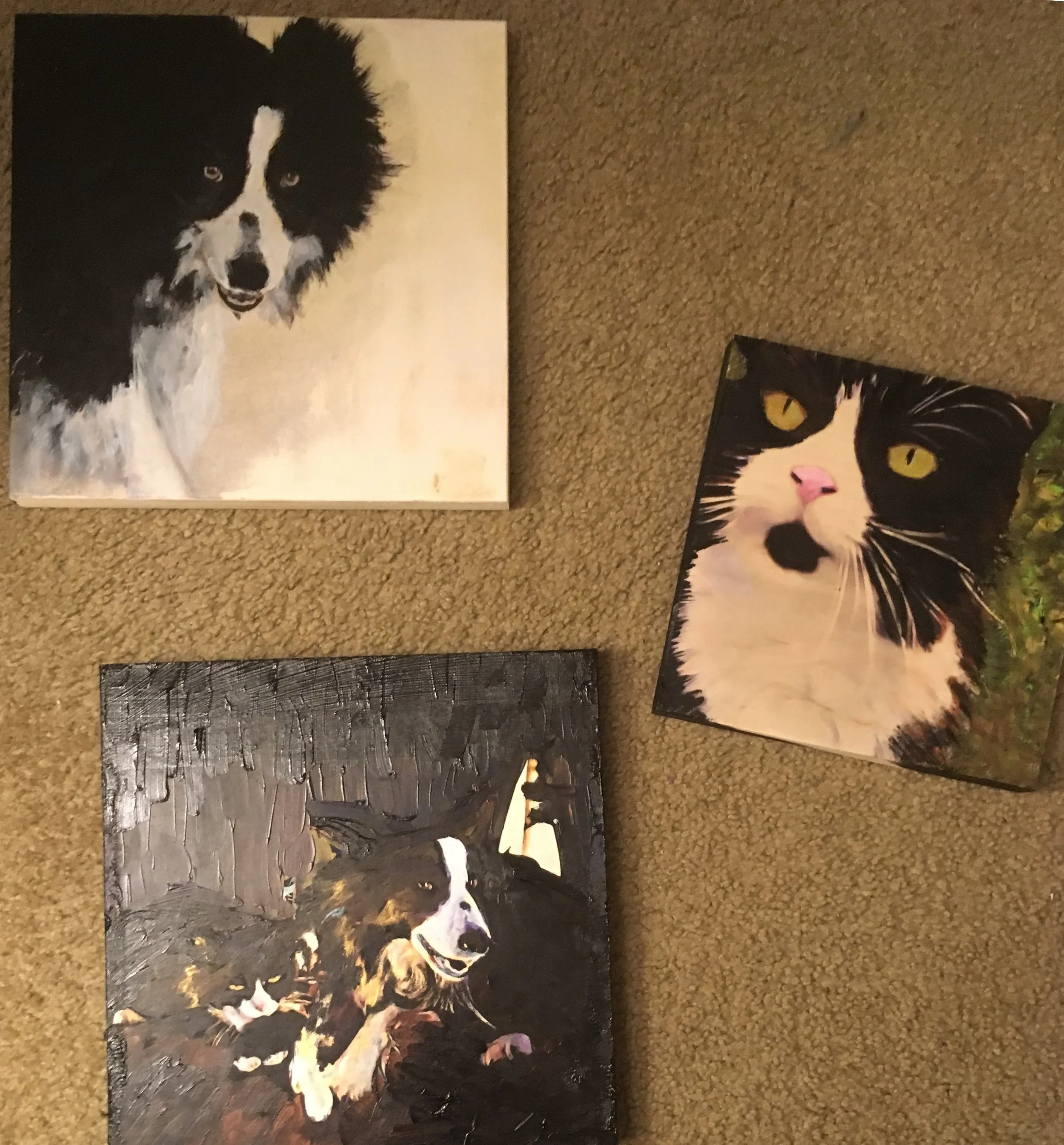paisley trio 2018.jpg