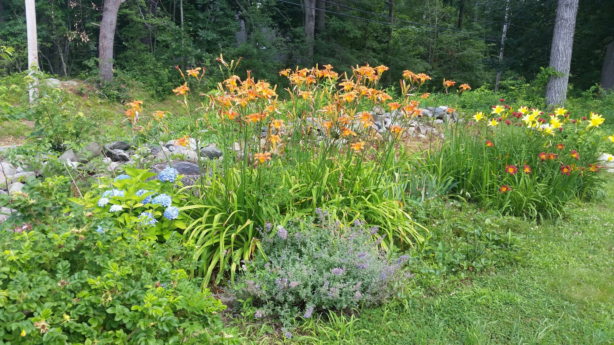 20150714_153343.jpg