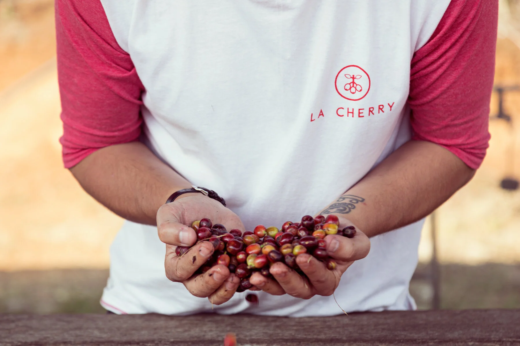 LA CHERRY COFFEE CO.