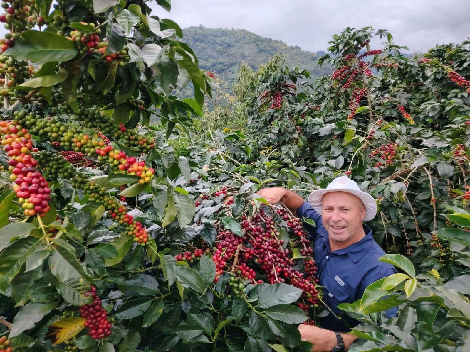 Gerardo-Arias-productor-de-Estrella-Hadar-de-Costa-Rica.jpg