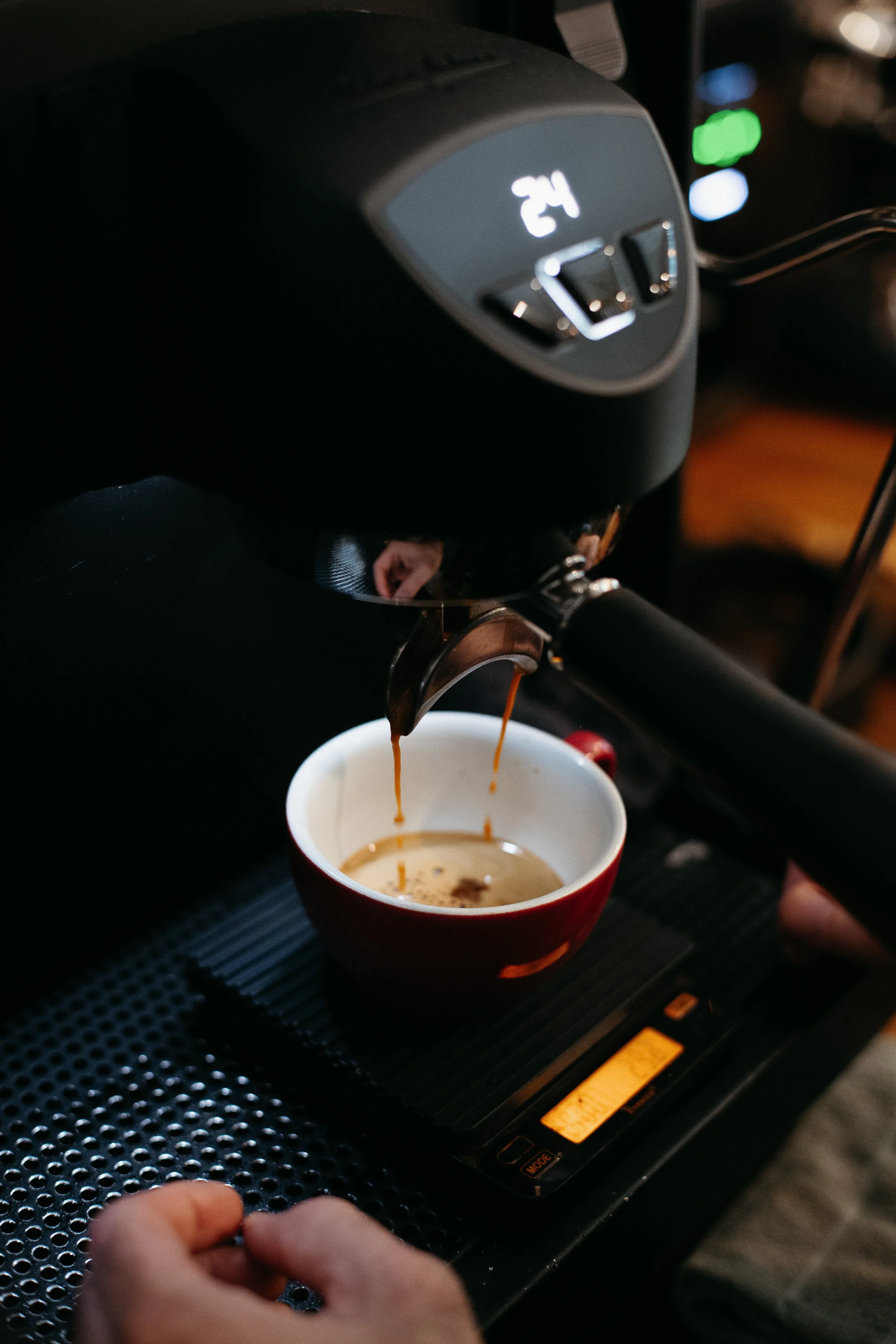 Honduras, Copan & Opalaca