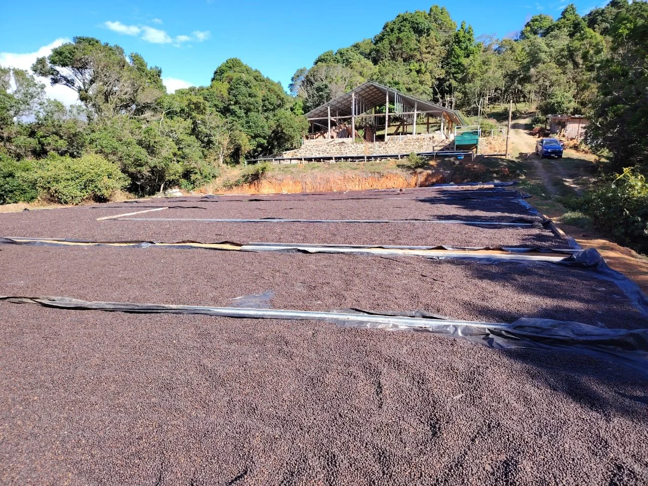 Estacion-de-secado-de-cafe-en-Tarrazu-en-la-finca-Monte-Alto.jpg