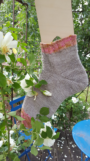Une chaussette dans un rosier d'Aurora Knitting Designs