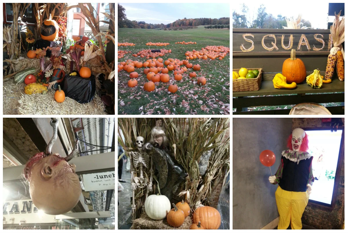Rangée du haut: Pumpkin patch à côté de Rhinebeck - Rangée du bas: Halloween dans une galerie marchande à New York - photos prises en Octobre dernier