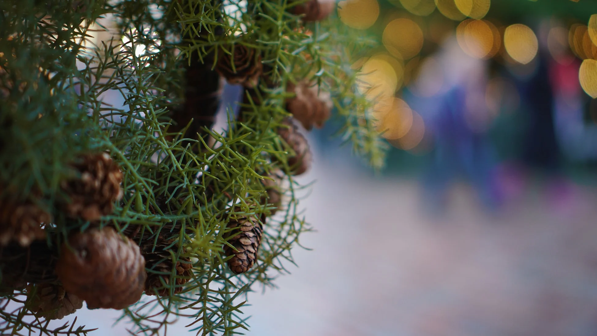 Hanging of the Greens