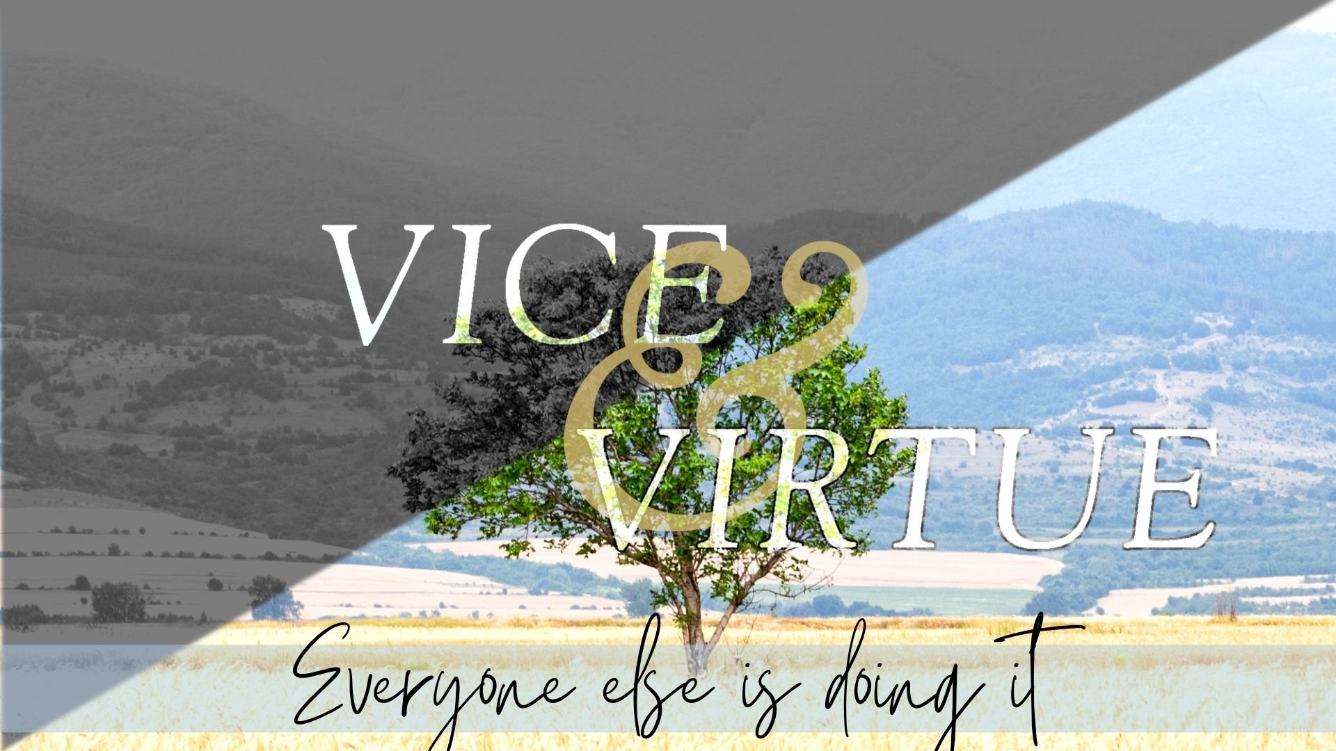 Everyone Else is Doing It