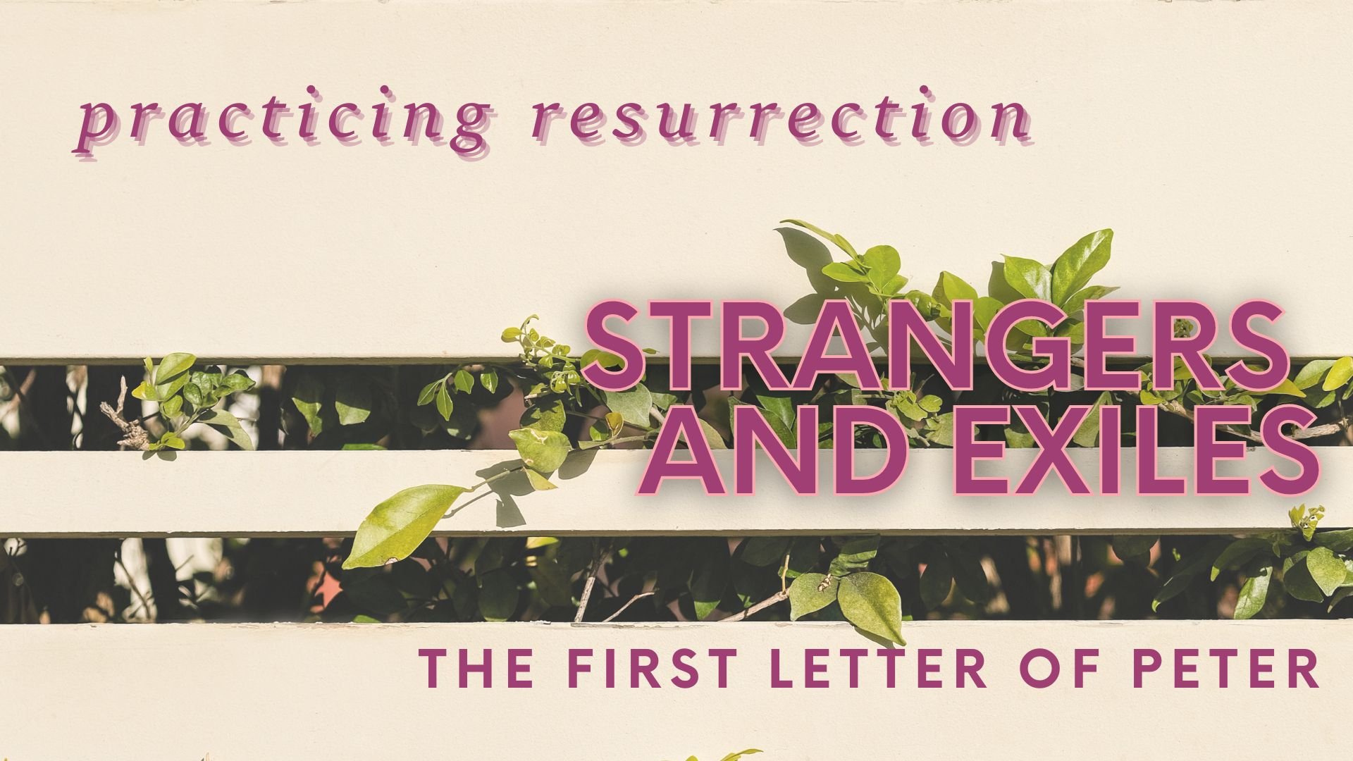 Practicing Resurrection