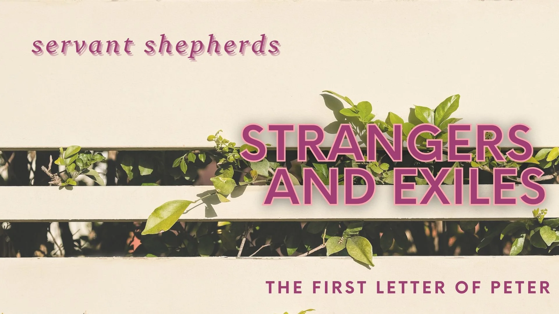 Servant Shepherds
