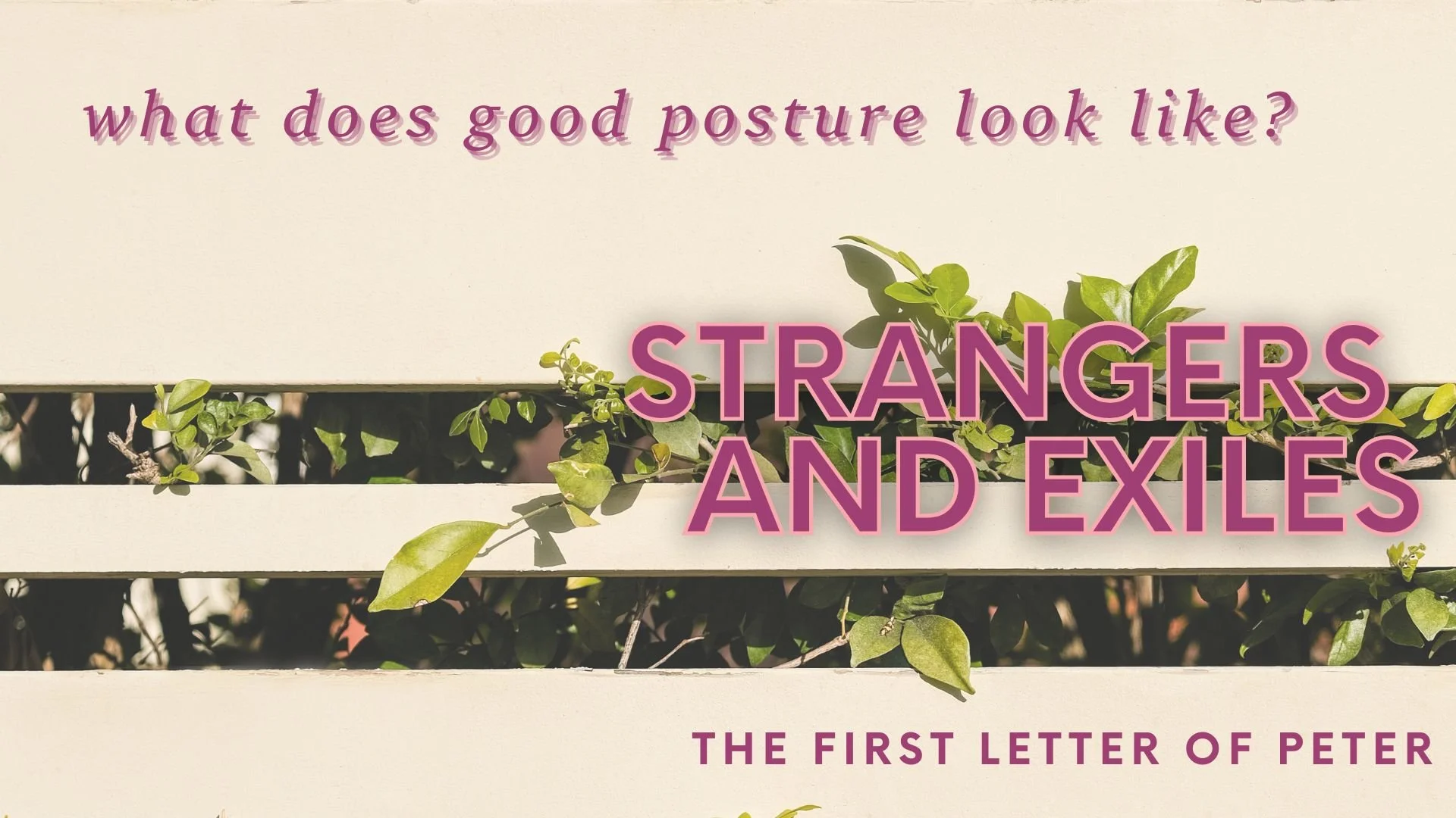 What does good posture look like?