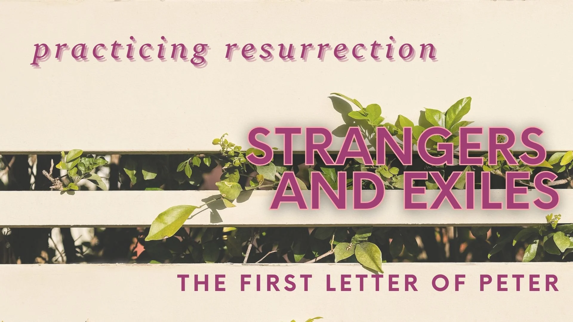 Practicing Resurrection — Middle Street Baptist Church