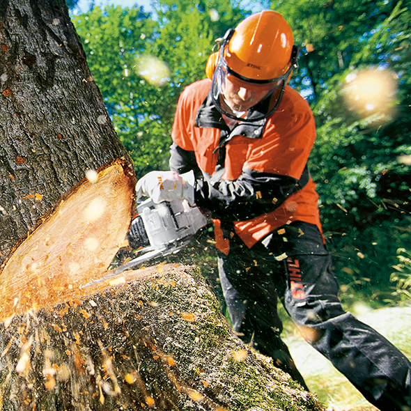 Image Source: STIHL Blog , © 2019 ANDREAS STIHL AG & Co. KG