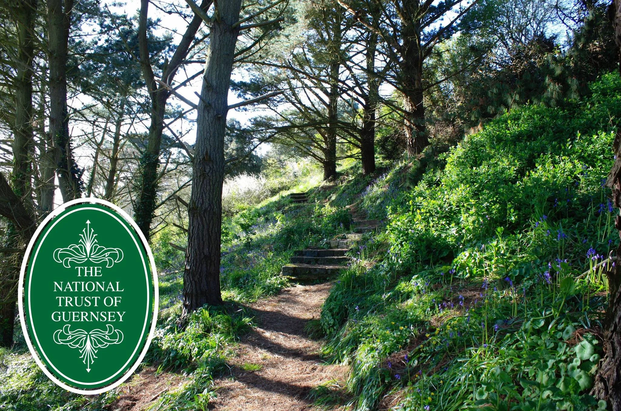 NATIONAL TRUST.jpg