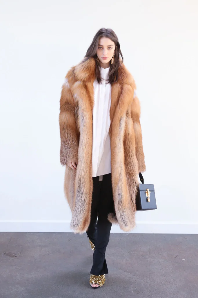 odlr-pf18-1.jpg