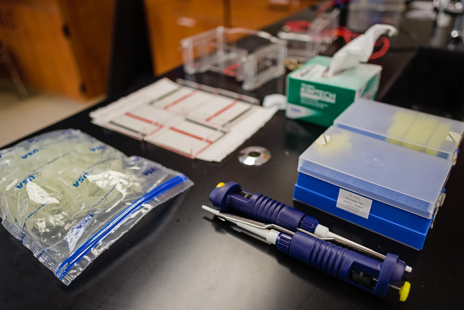 20150219-_MDC1393.jpg