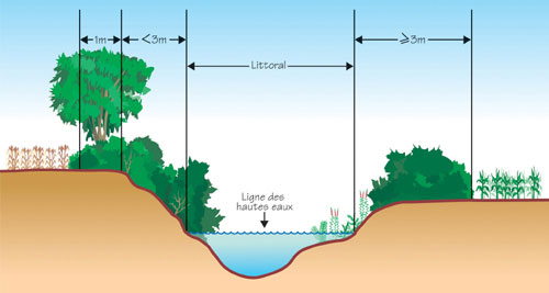 Largeur des rives en milieux agricoles