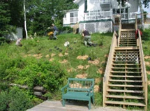 Plantation des berges du chalet