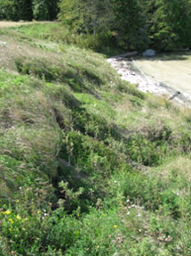Site avant les aménagements