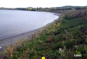 Reprise des boutures de saules et des lits de branche en bordure du lac Témiscamingue et mortalité des boutures de saule en milieu de pente 3 ans après les aménagements (ferme Drochers)