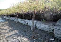 Aménagements en bordure du lac Témiscamingue 3 ans après leur réalisation (ferme Drochers).