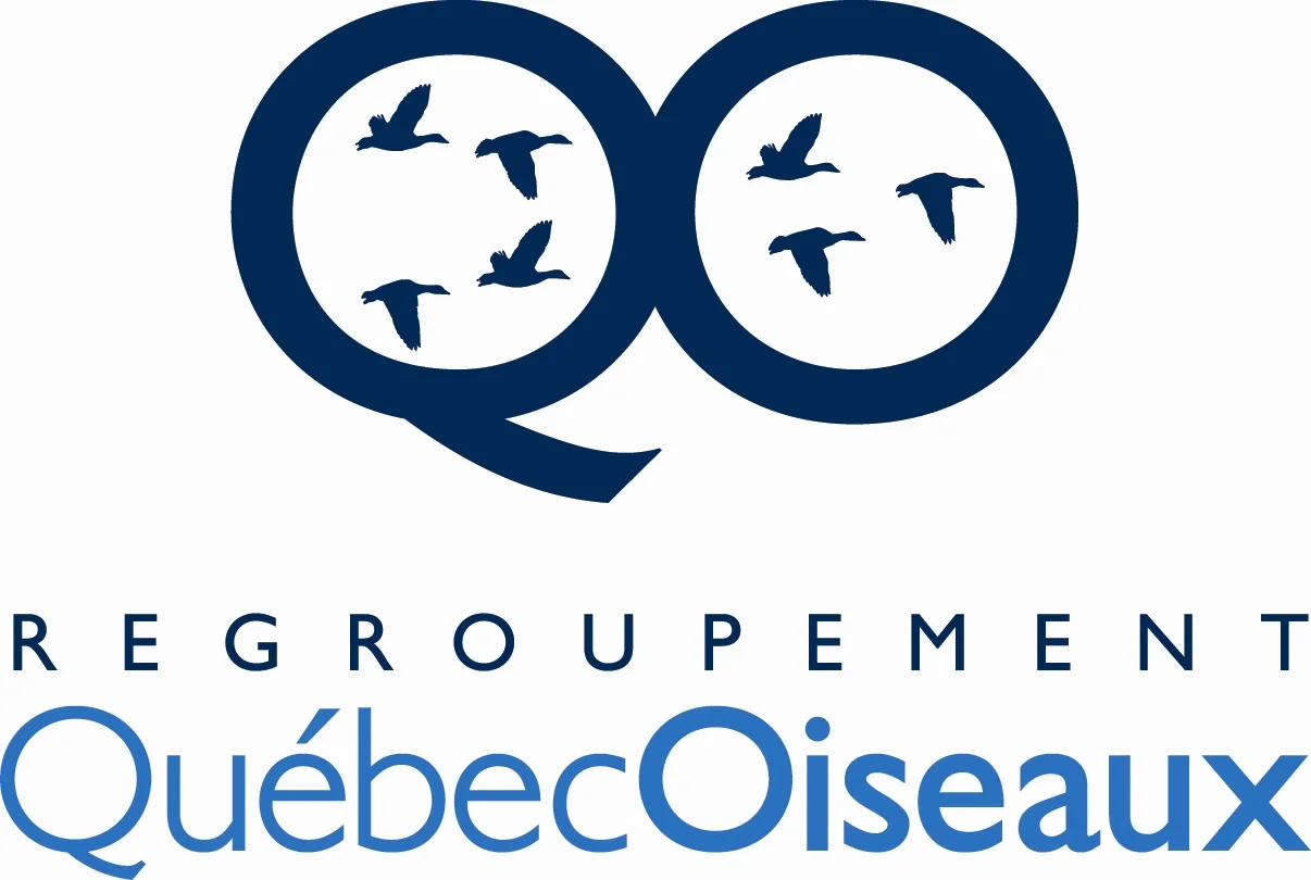 RQO_Logo_grand.jpg