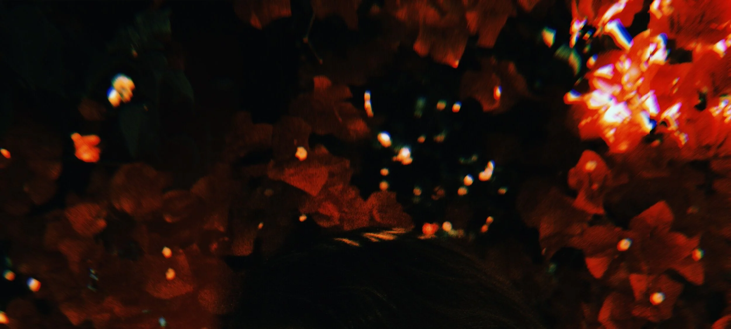 2019-10-01 18:33:44.832 copy.JPG