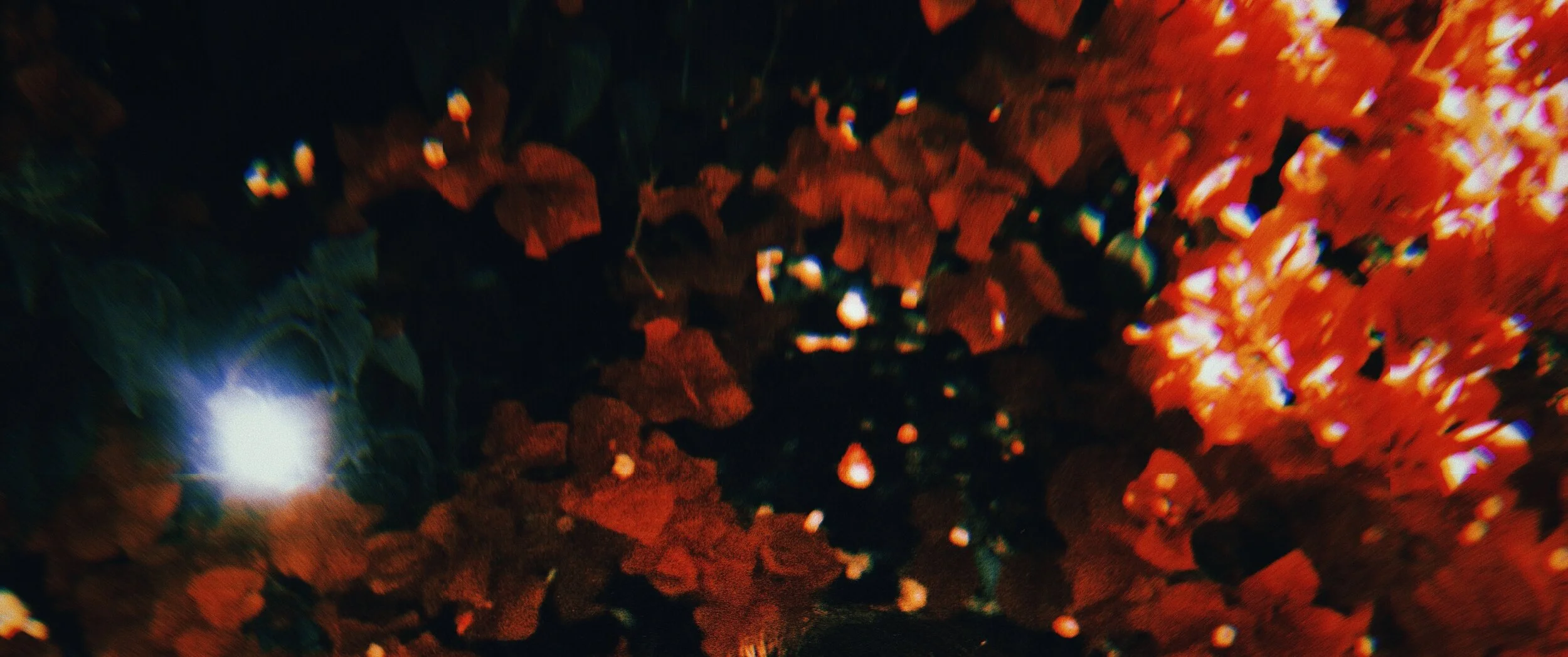background1.JPG