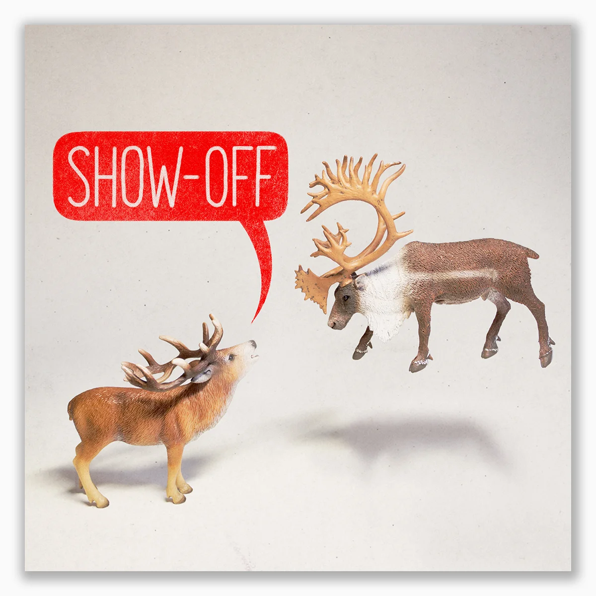 show off.jpg