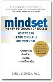 mindset book.jpg