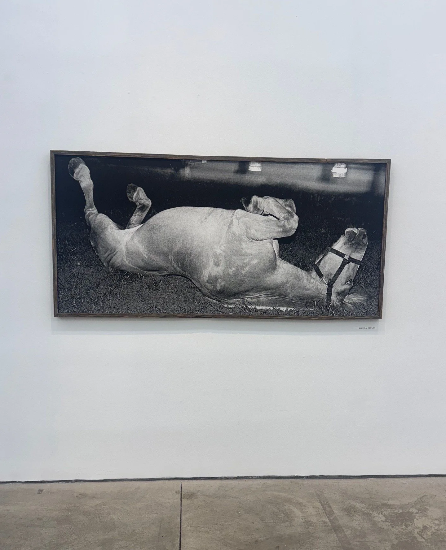 In honor of 2026, the year of the Fire Horse, we bring together some of our favorite horse imagery and art. Happy New Year from Inside Out Agency :)⁠
⁠
1. Michael M. Koehler⁠
3. Sasha Elage⁠
4. &ldquo;Capriole&rdquo; by Patricia Powers, 1983⁠
5. &quo