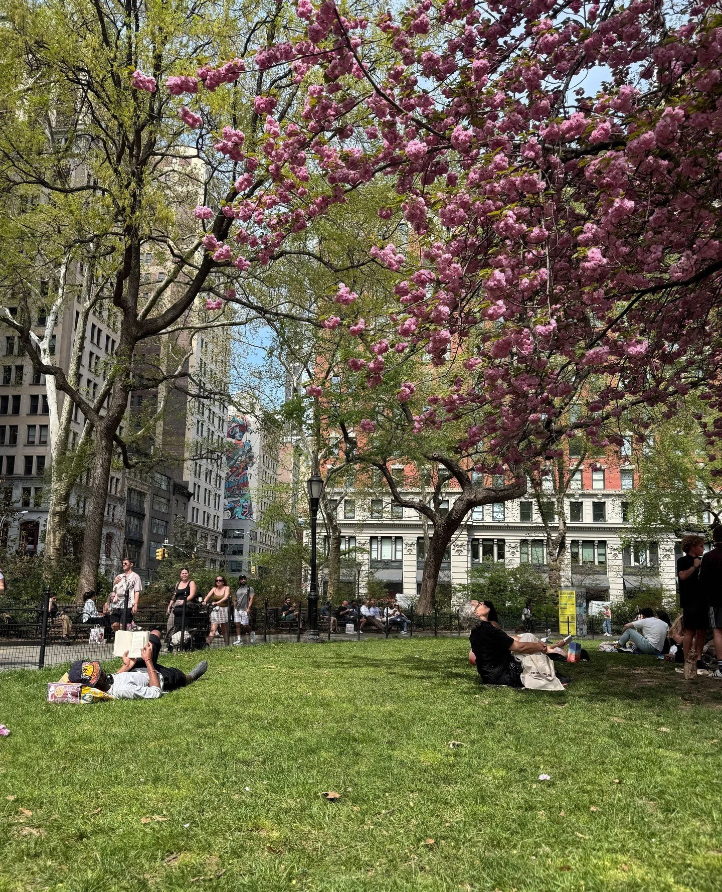 Spring is finally here and we're feeling it! 🌸