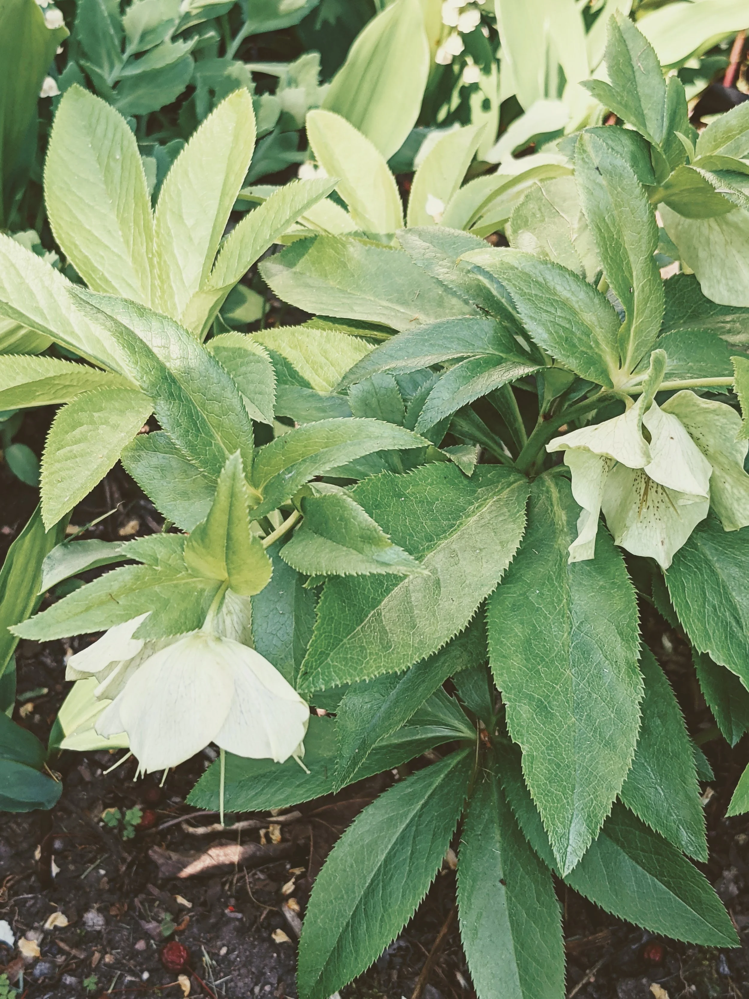 Baileys House located in Baileys Harbor, Wisconsin