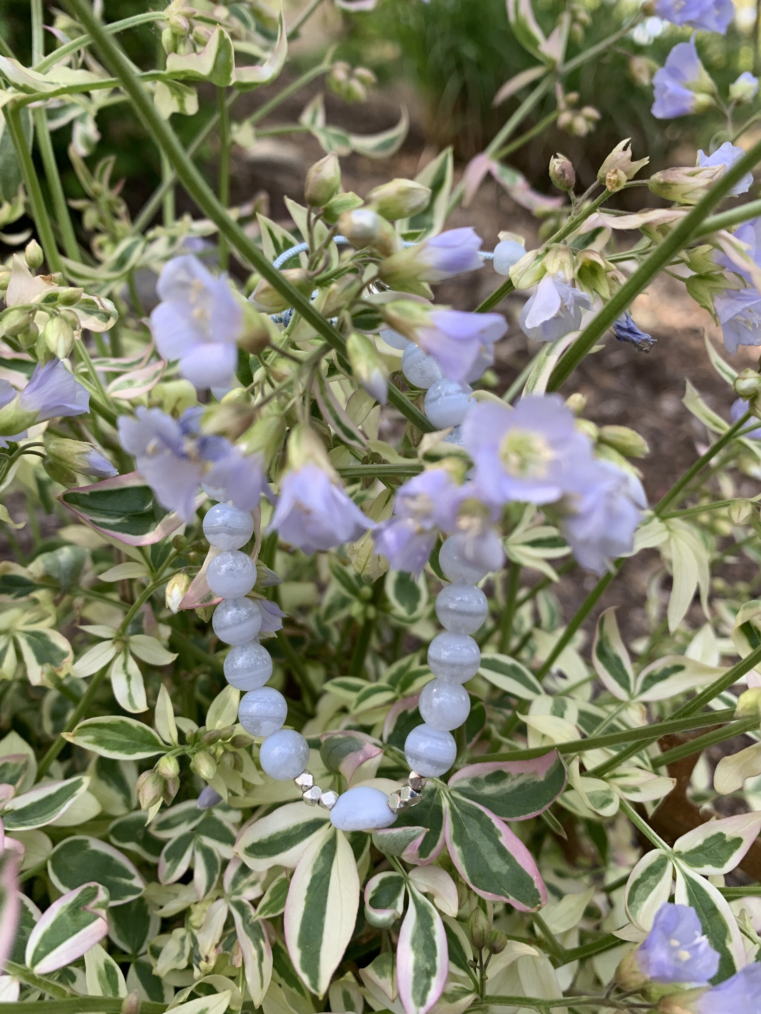 Tranquility with flowers.JPG