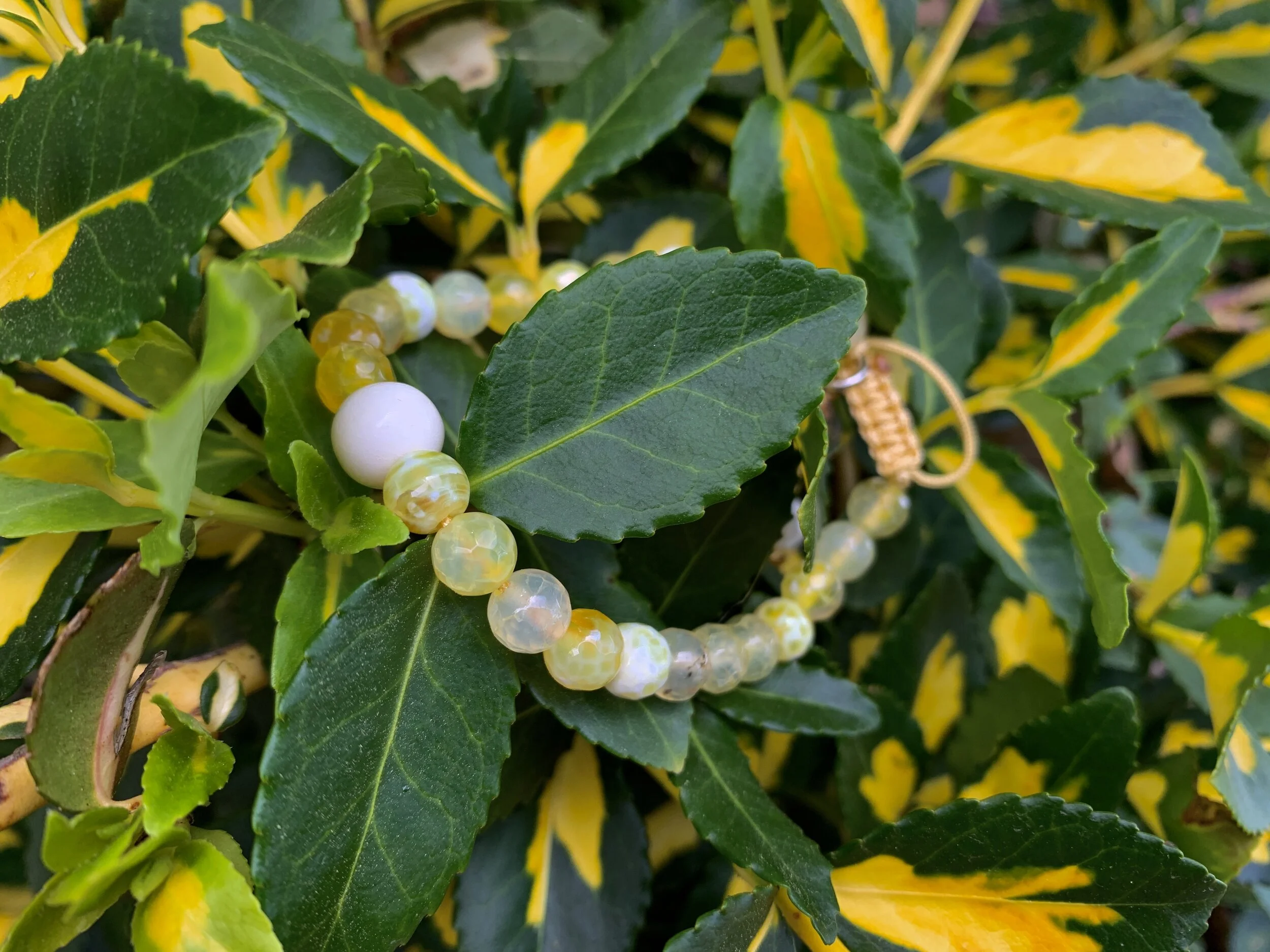 fire agate on leaves.jpg