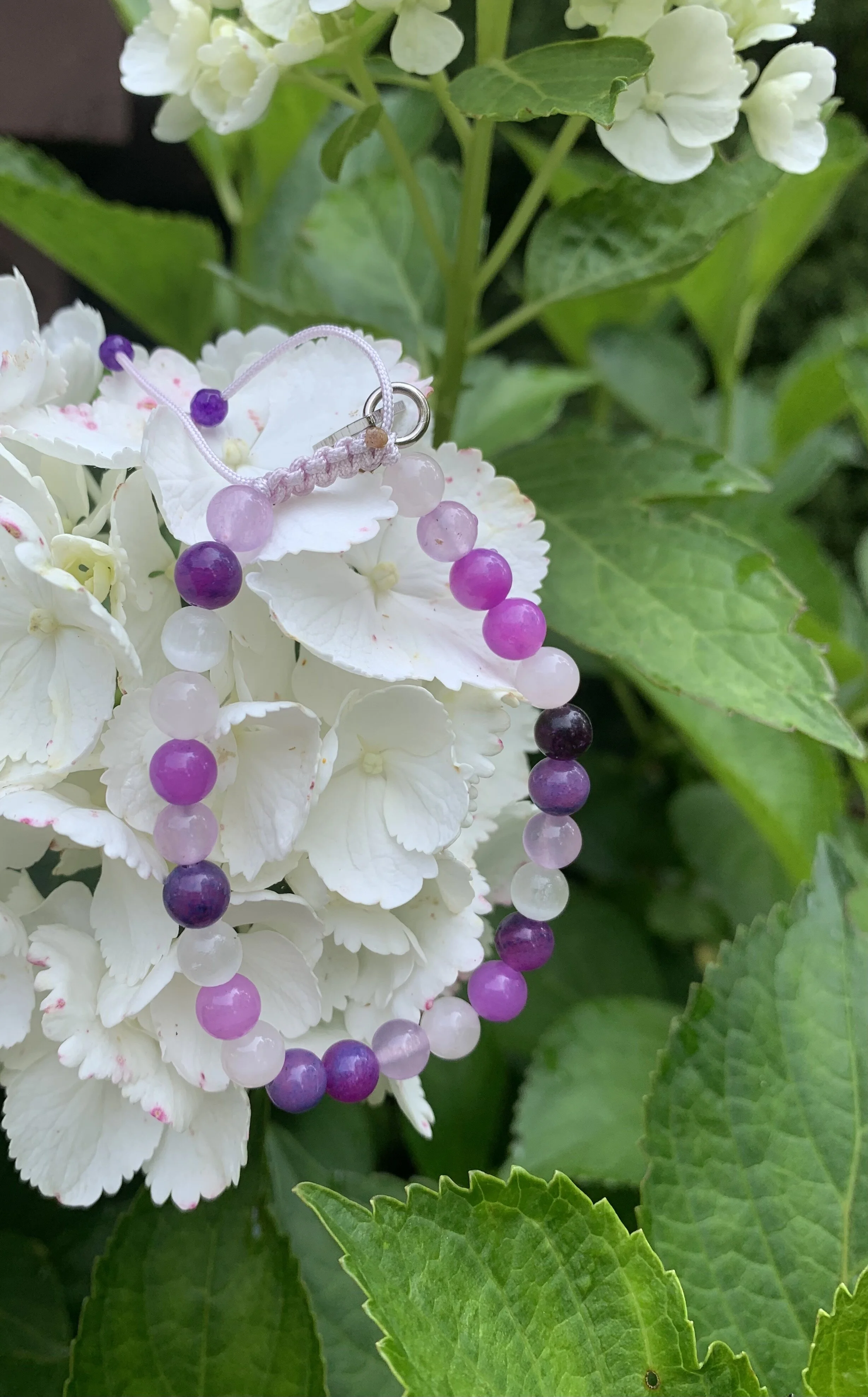 peace on white hydrangea.jpeg