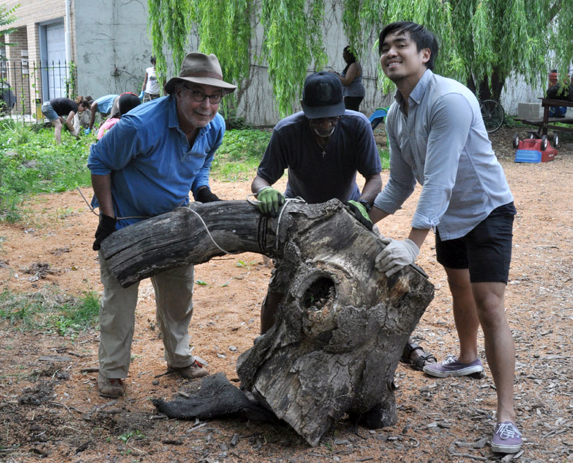   Members remove a large tree stump from the garden.  