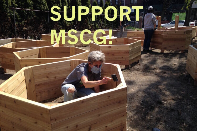 Support MSCG (1).jpg