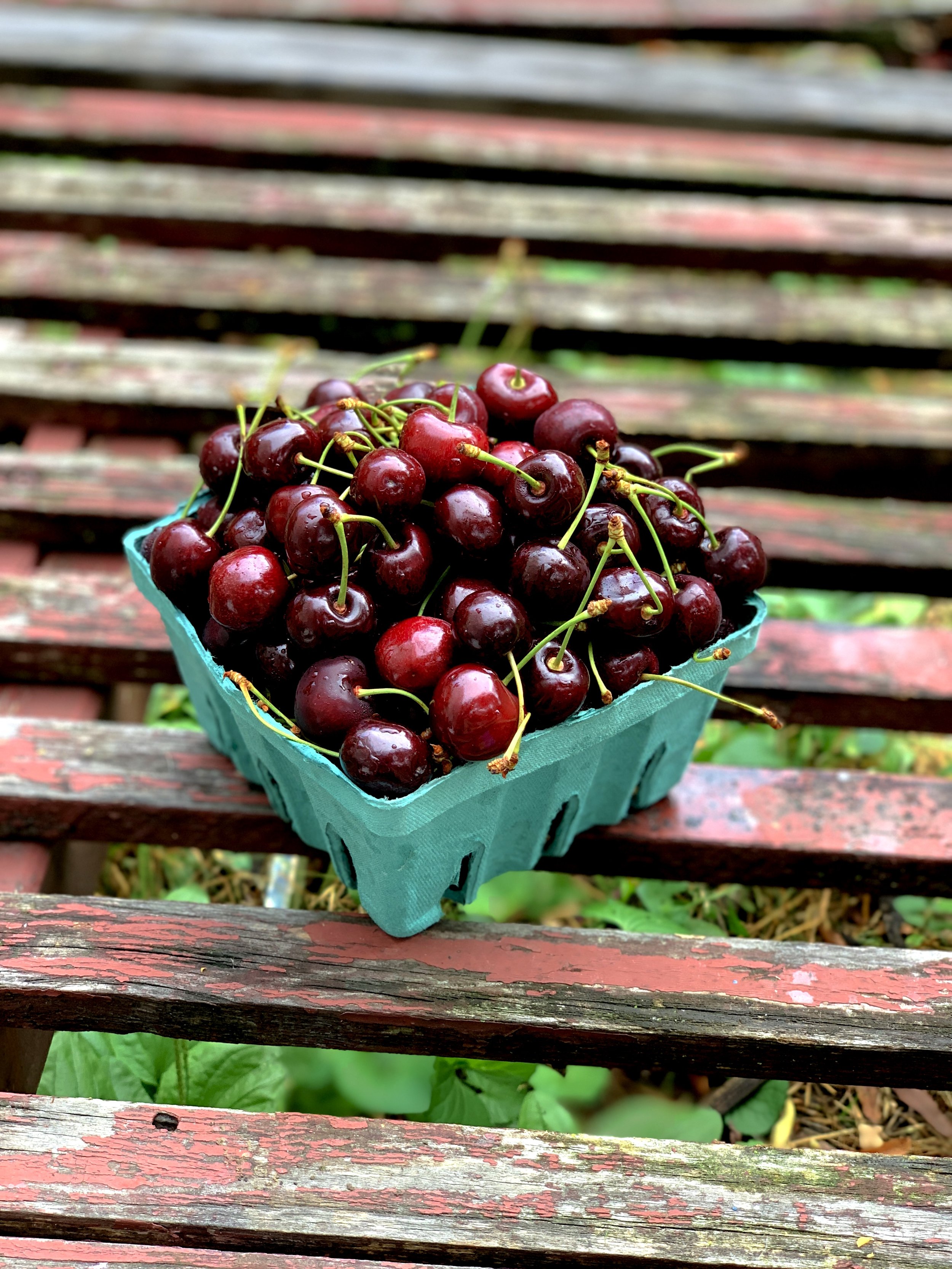 Fresh Food Box cherries  (Photo credit: Nancy Treuber)