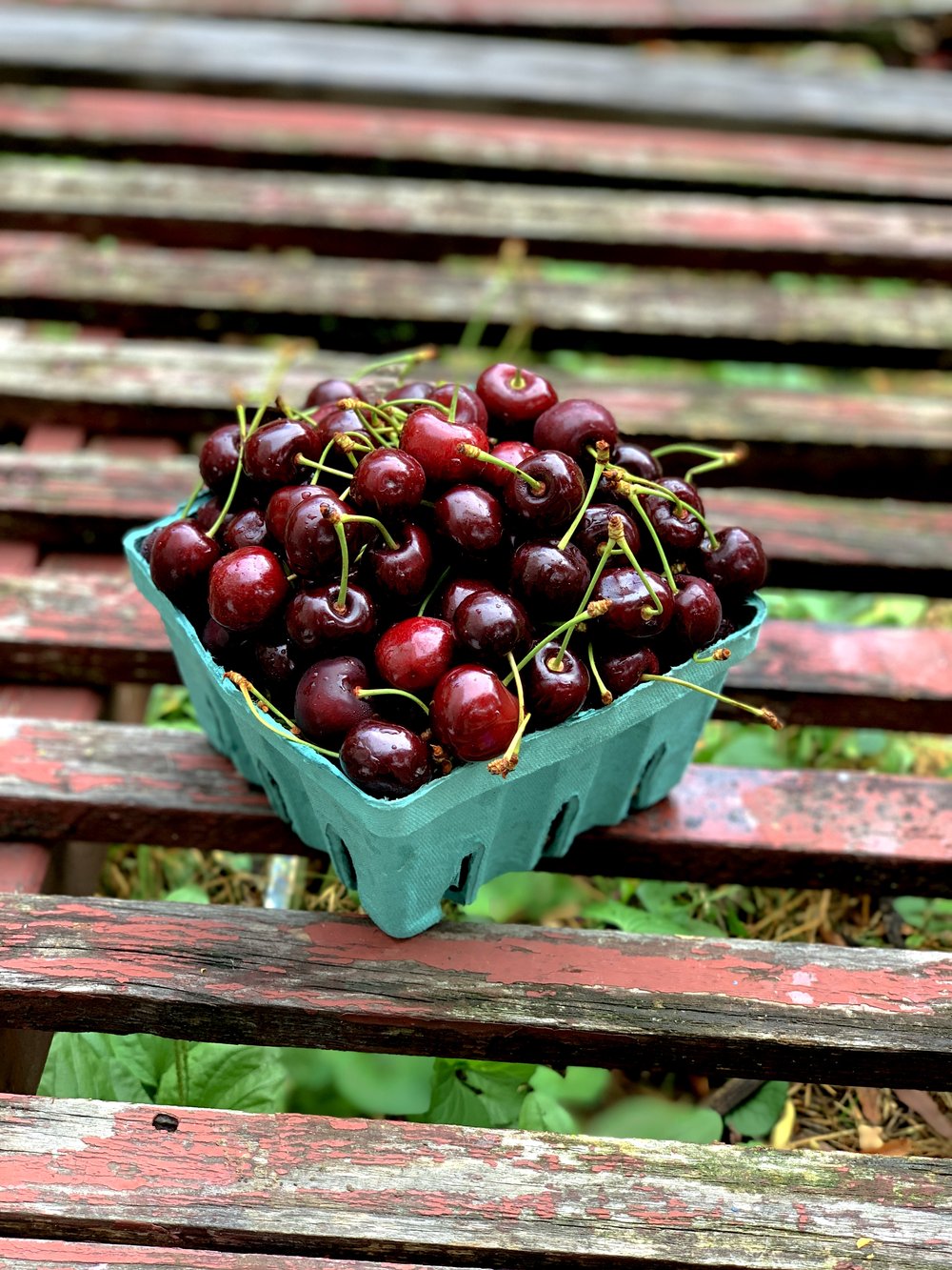 Fresh Food Box cherries  (Photo credit: Nancy Treuber)