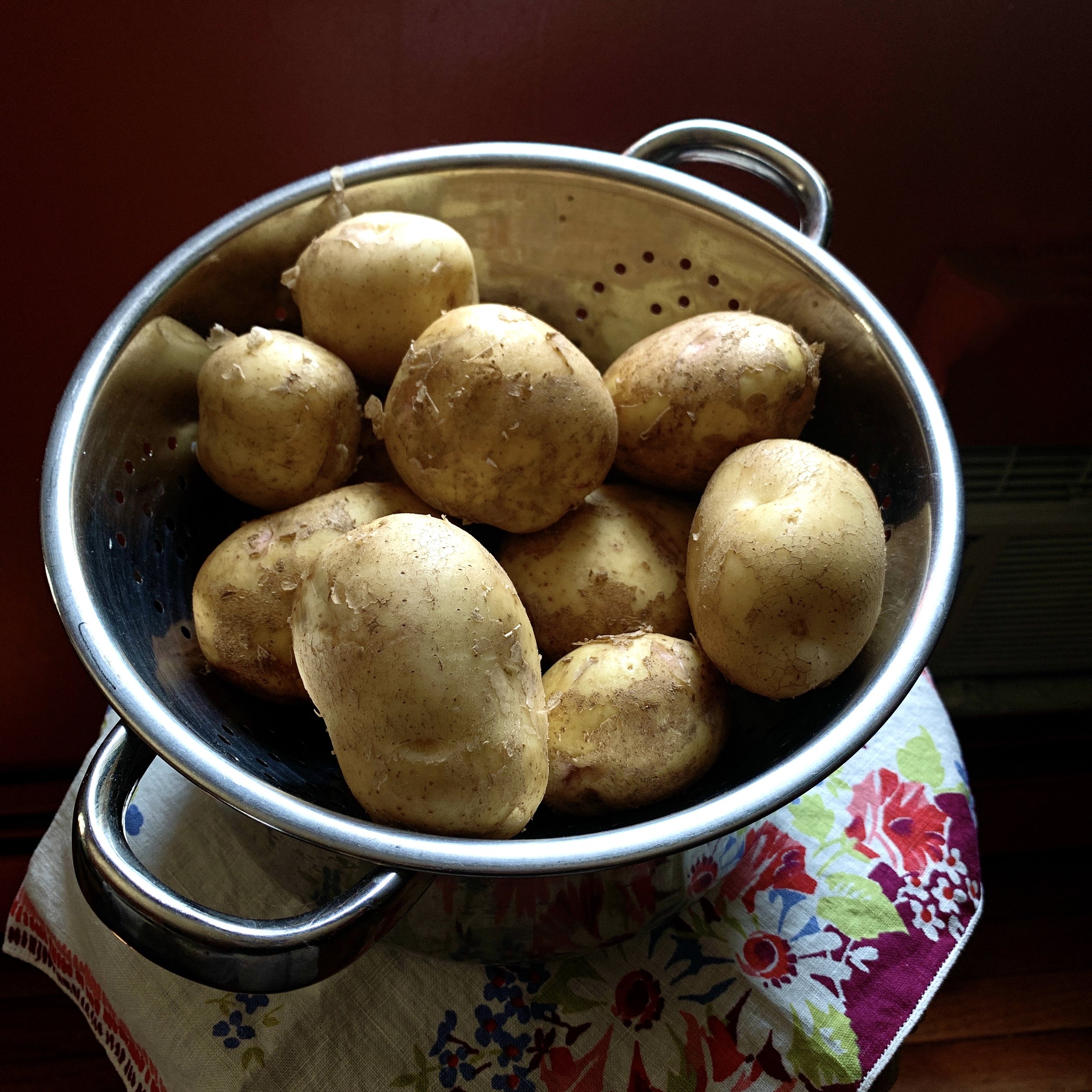 Fresh Food Box potatoes  (Photo credit: Nancy Treuber)