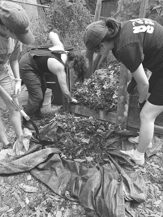 Gourds, Greenhouse Gas, and a Honda Accord’s Worth of Scraps