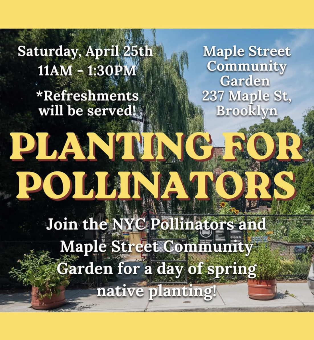 THIS SATURDAY 5/2: Join the NYC Pollinators and MSCG for a day of spring native planting! 