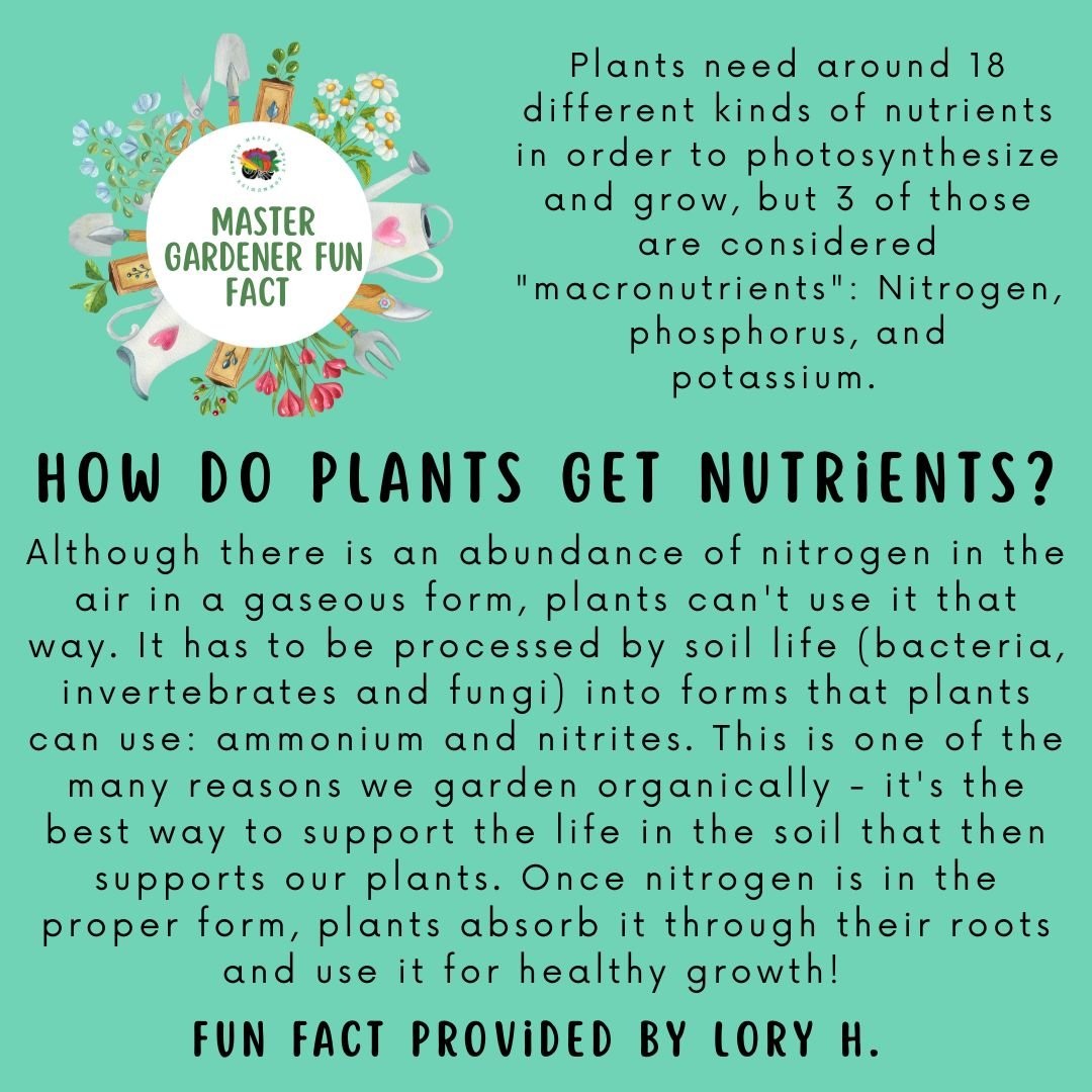 How do plants get nutrients? 