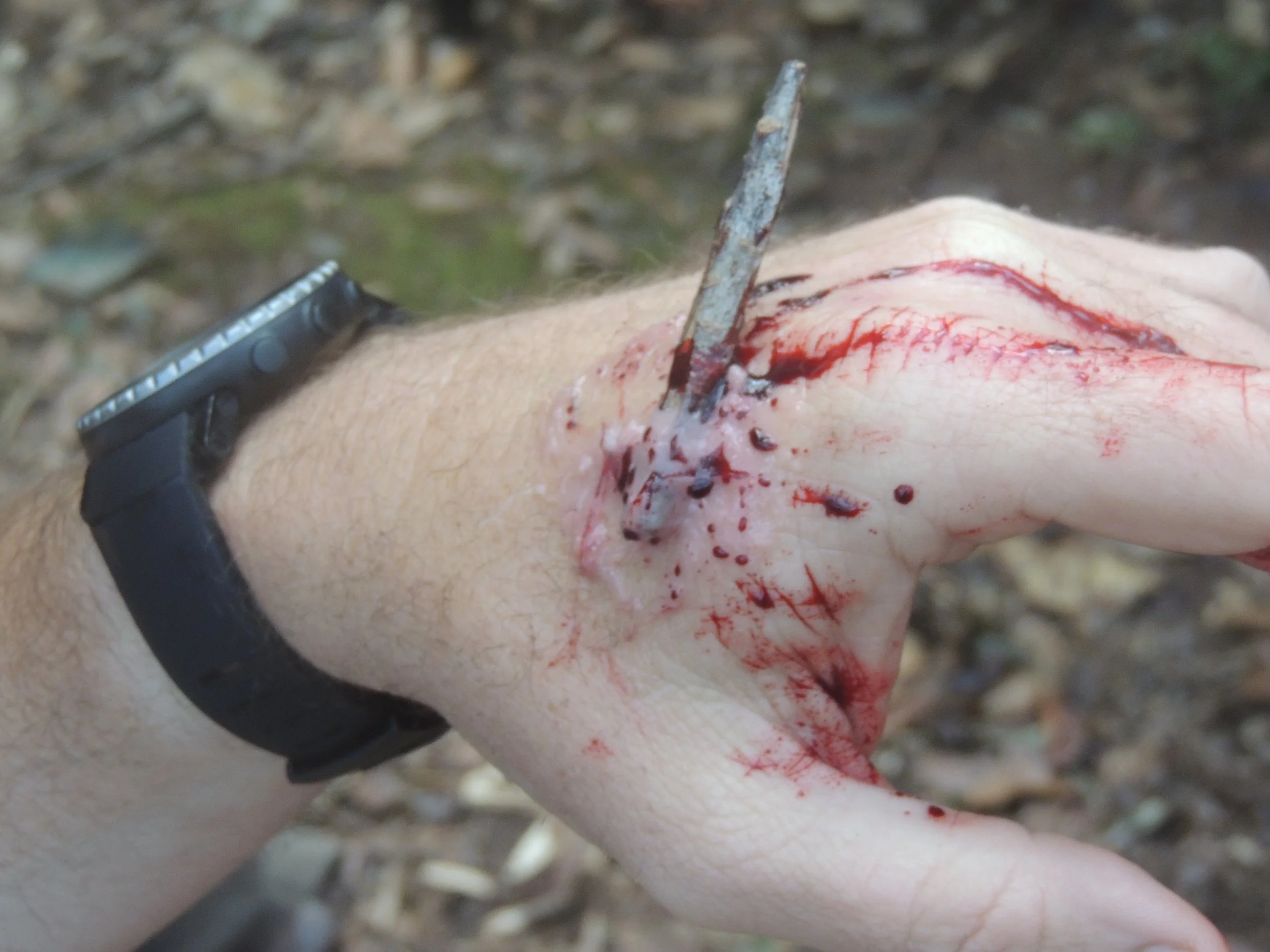 Wilderness First Aid (WFA) - November 9, 2024 &amp; November 10, 2024 - Union, SC